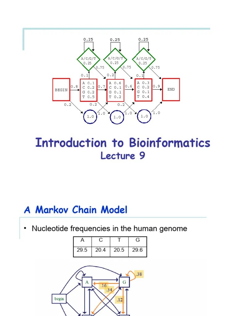 Bioinformatics-Lesson 07 - Hidden Markov Model | PDF | Markov Chain ...