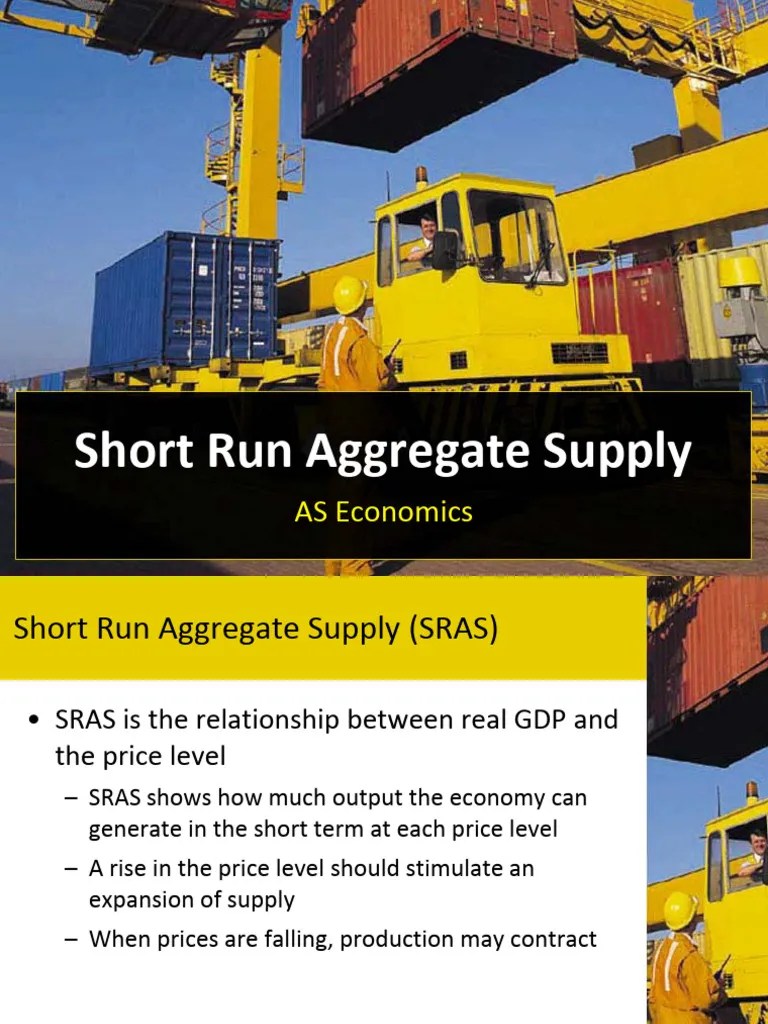 Short Run Aggregate Supply Handout | PDF | Supply (Economics) | Labour Economics