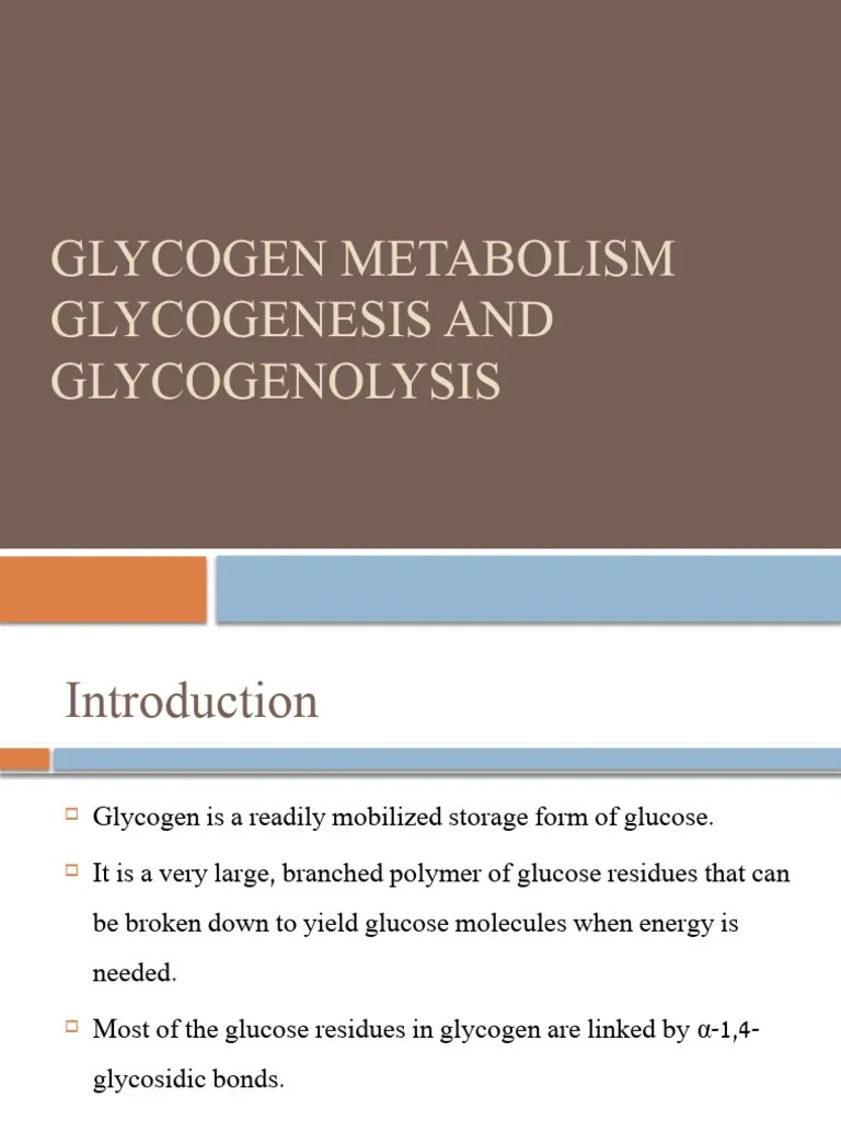 Glycogen Metabolism | PDF | Glycogen | Glucose
