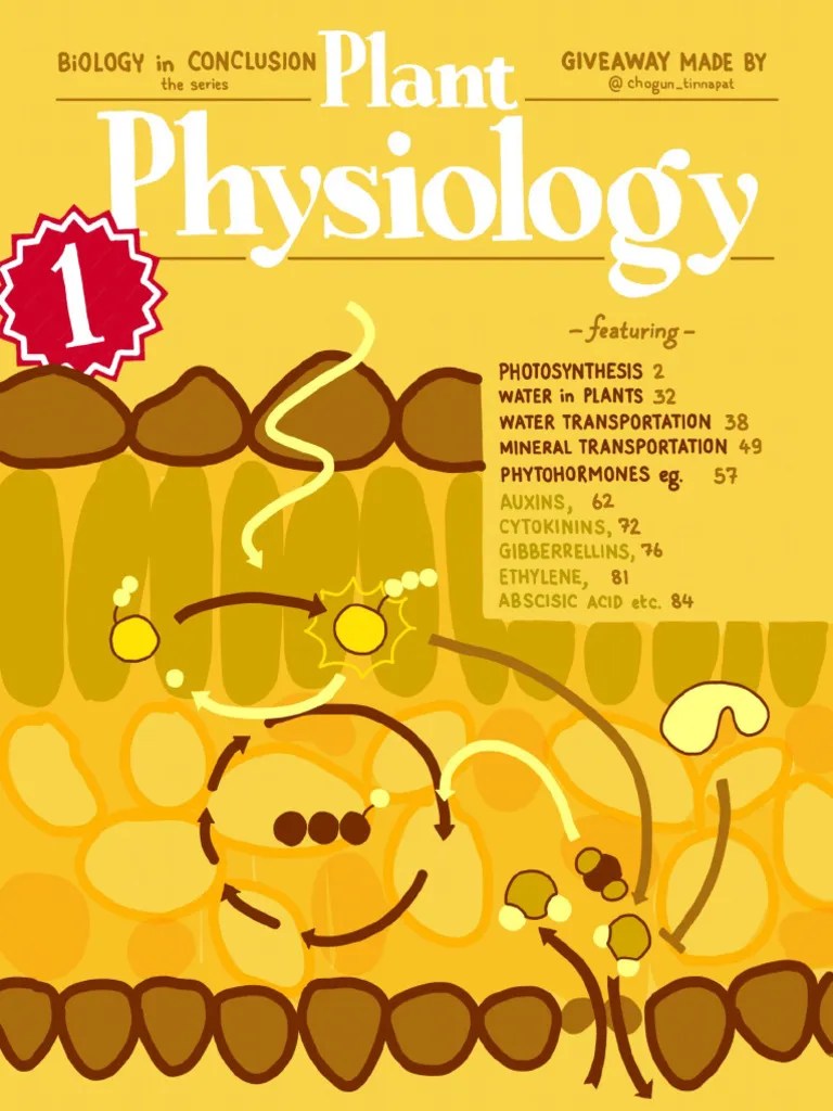 14.) Plant - Physiology | PDF