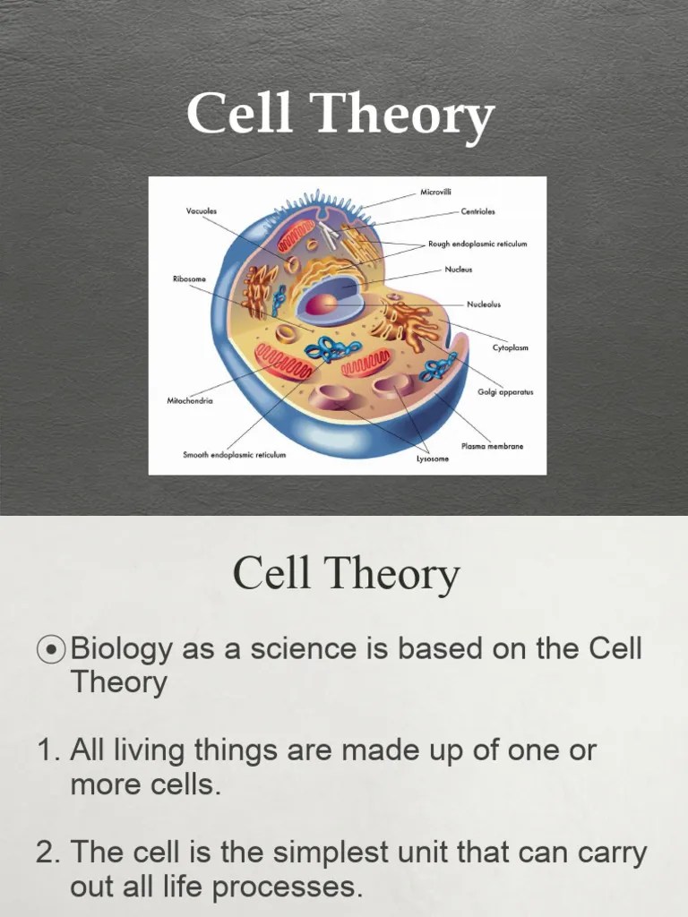 Lesson - 2 - Cell Theory | PDF | Cell (Biology) | Endoplasmic Reticulum