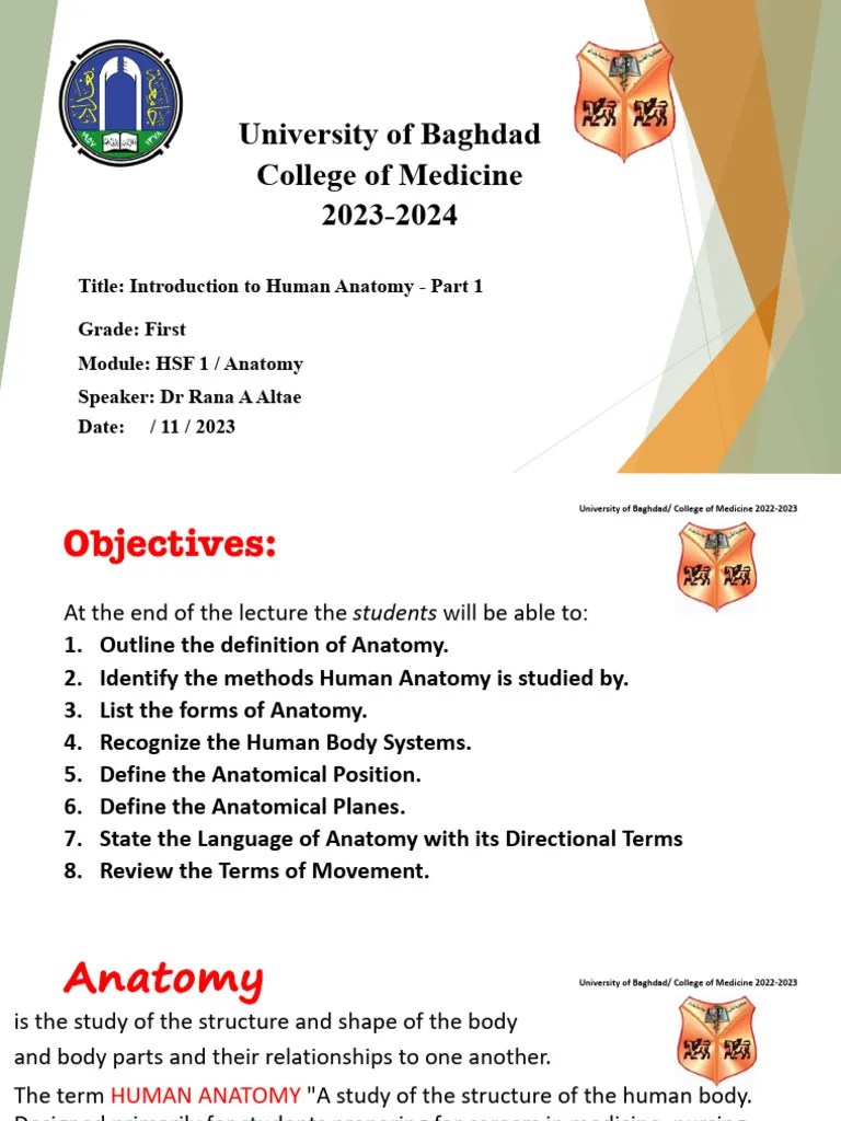 HSF 1-Lect 1 | PDF | Anatomical Terms Of Motion | Musculoskeletal System