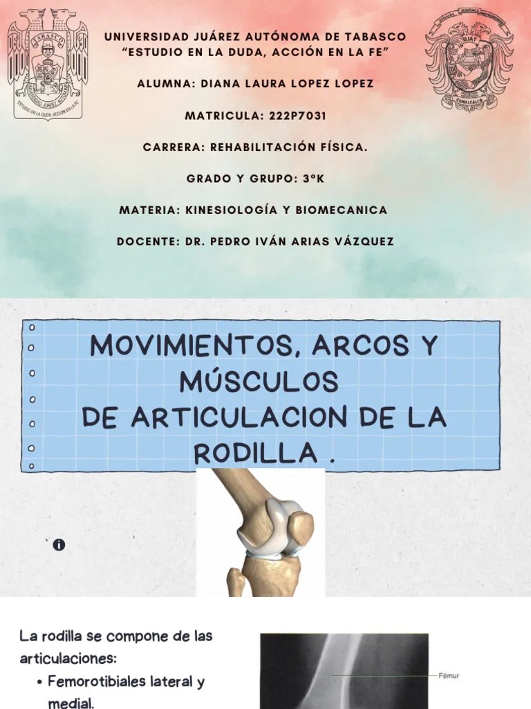 Rodilla (Musculos, Arcos) | Descargar Gratis PDF | Rodilla | Sistema Musculoesquelético