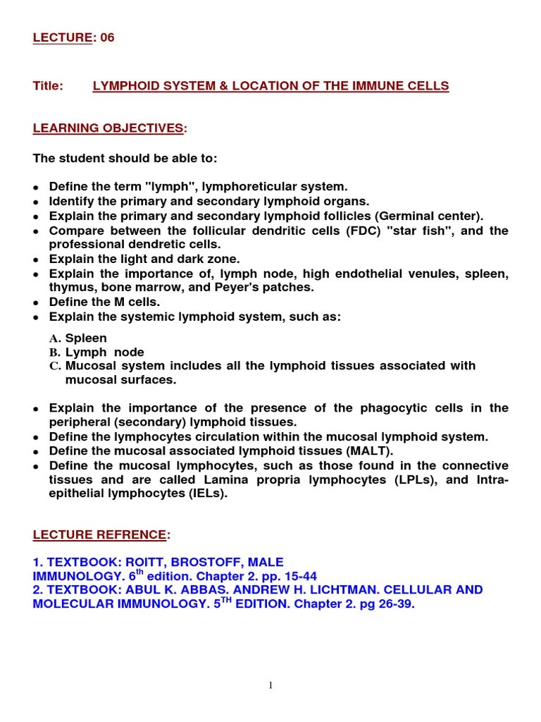 LECTURE 06 Lymphoid System And Location Of The Immune Cells | Download Free PDF | Lymphatic ...