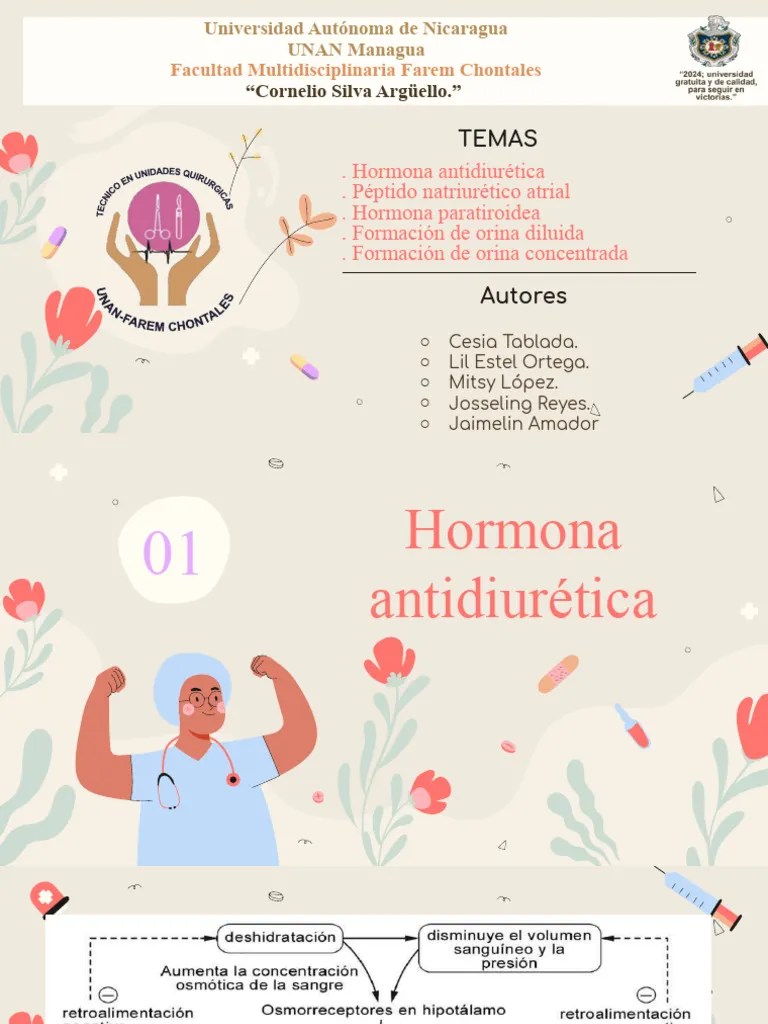 Anatomia II Grupo 5 | PDF