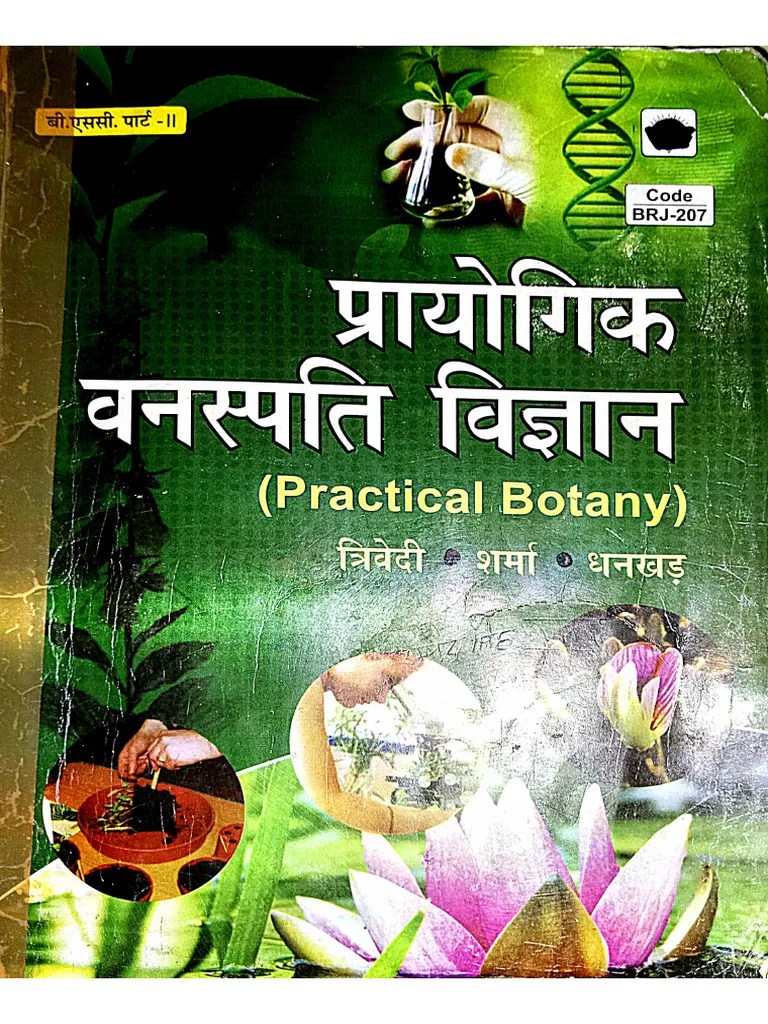 ??Botany Partical File ?️ Work ?? | PDF