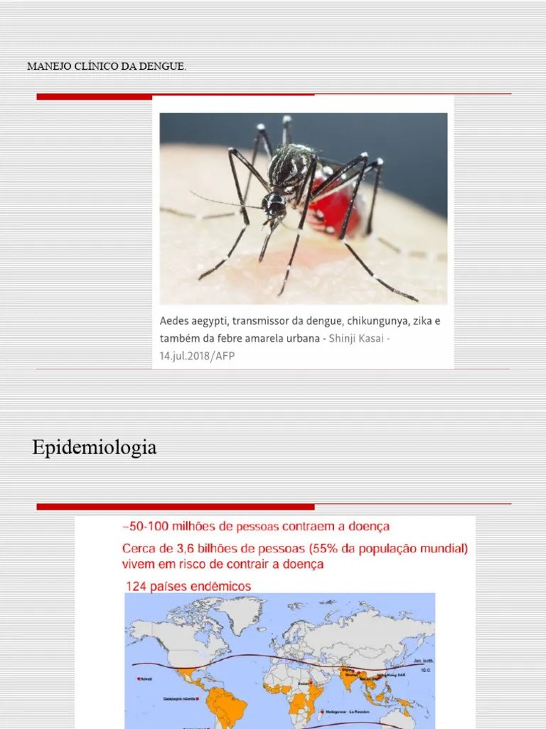Manejo Clinico Da Dengue 2024 | PDF