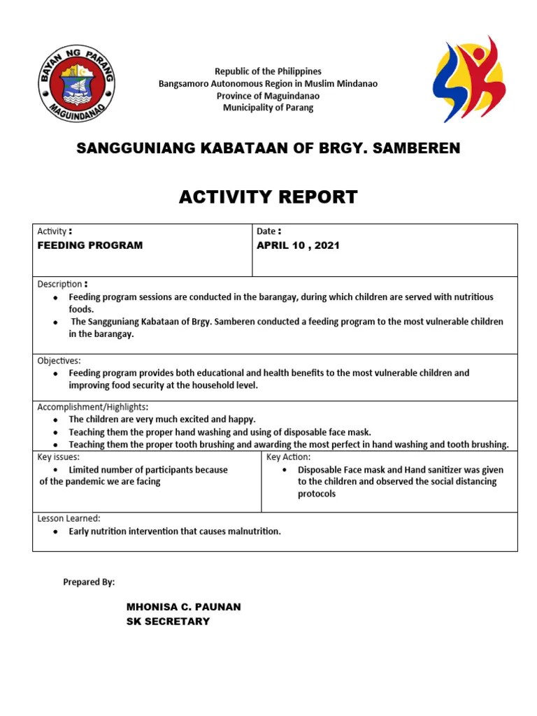 SK Activity Report | PDF