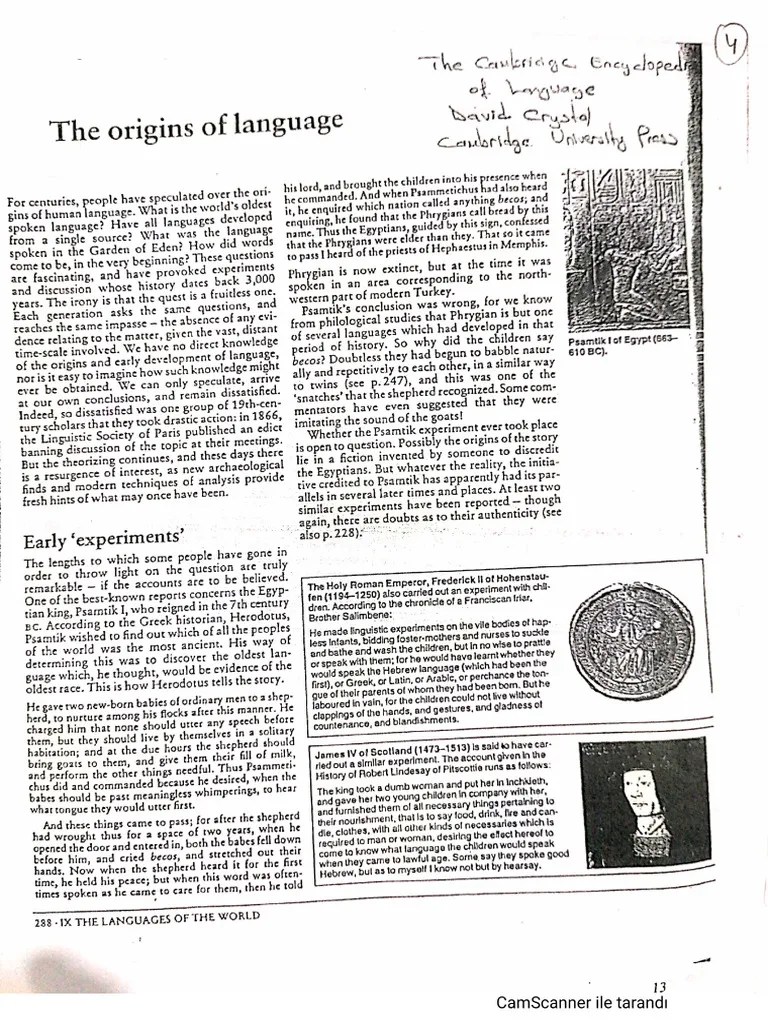 The Origins Of Language | PDF