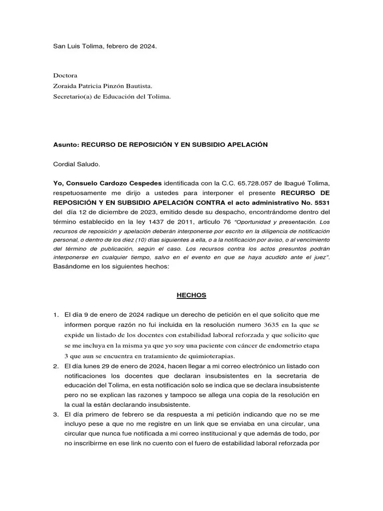 Recurso De Reposición Y En Subsidio Apelación | PDF