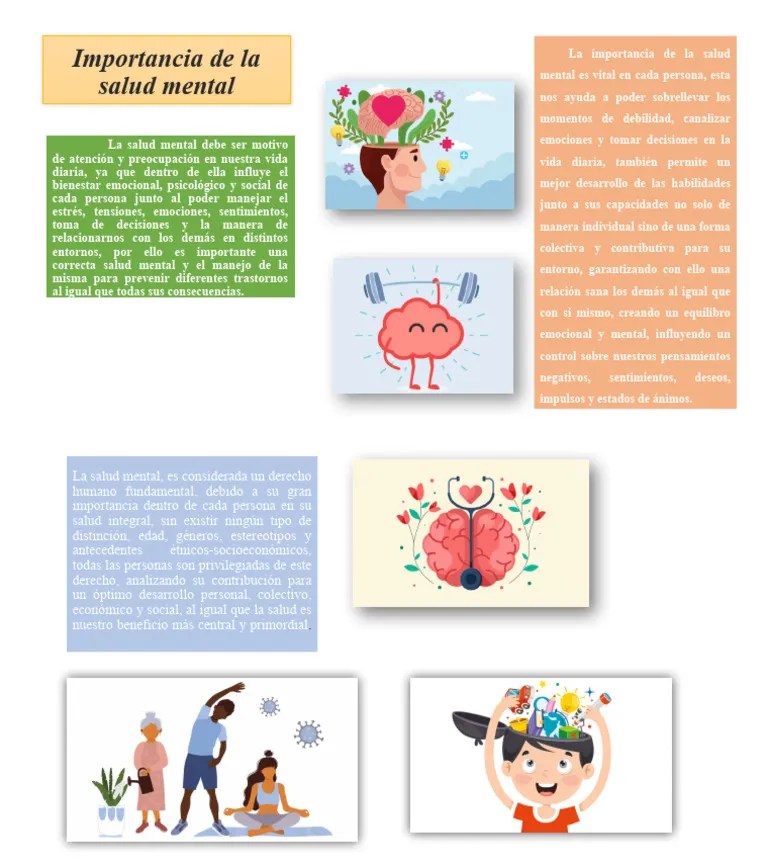 Importancia De La Salud Mental | PDF