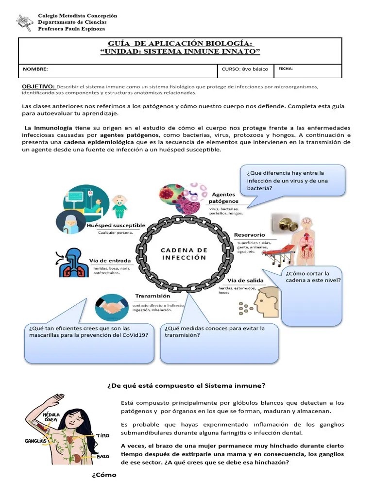 Guía Sistema Inmune | Descargar Gratis PDF | Sistema Inmune | Infección