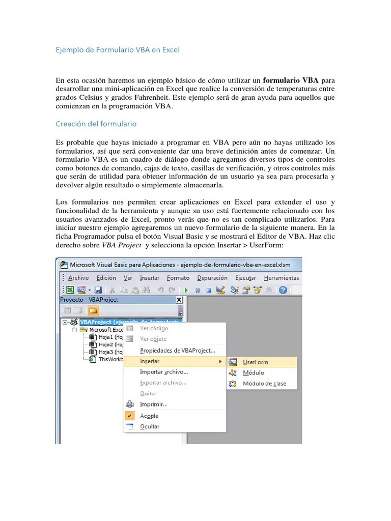 Ejemplo De Formulario VBA En Excel | Descargar Gratis PDF | Microsoft Excel | Ventana (informática)