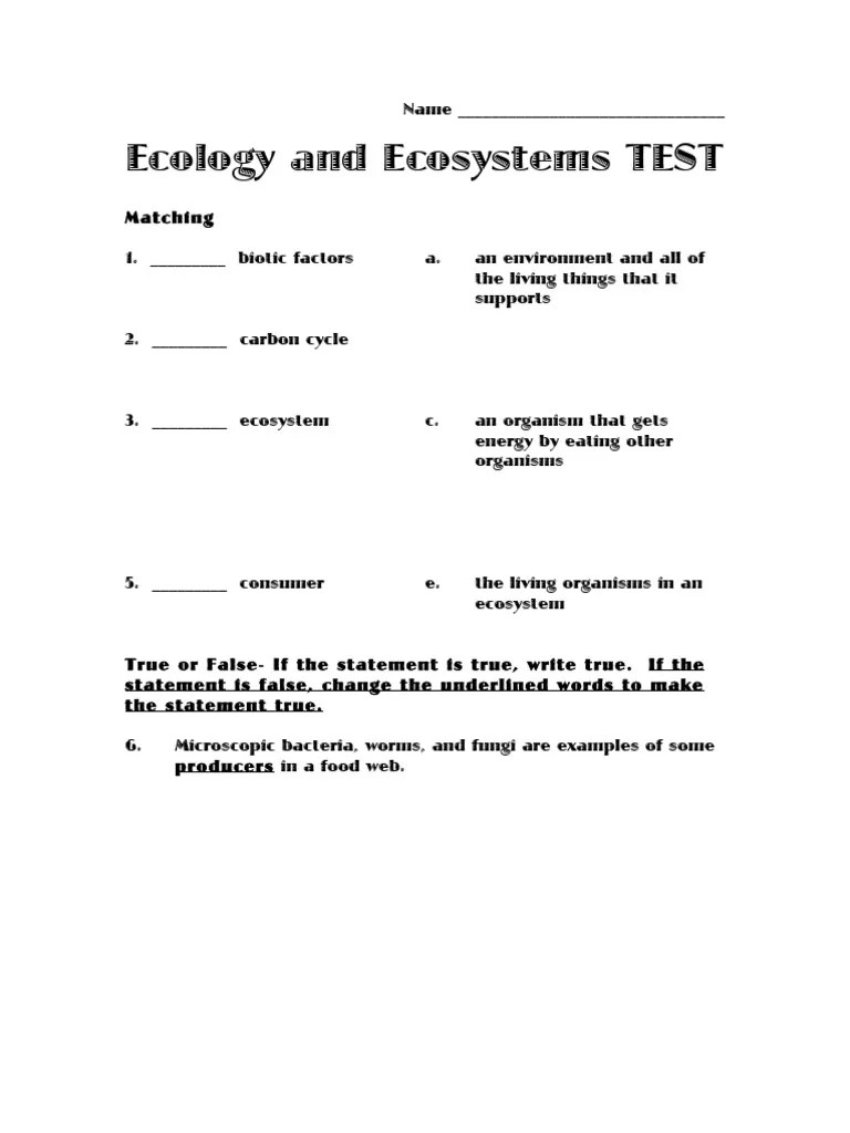 Food Chain And Food Web | PDF | Ecosystem | Food Web