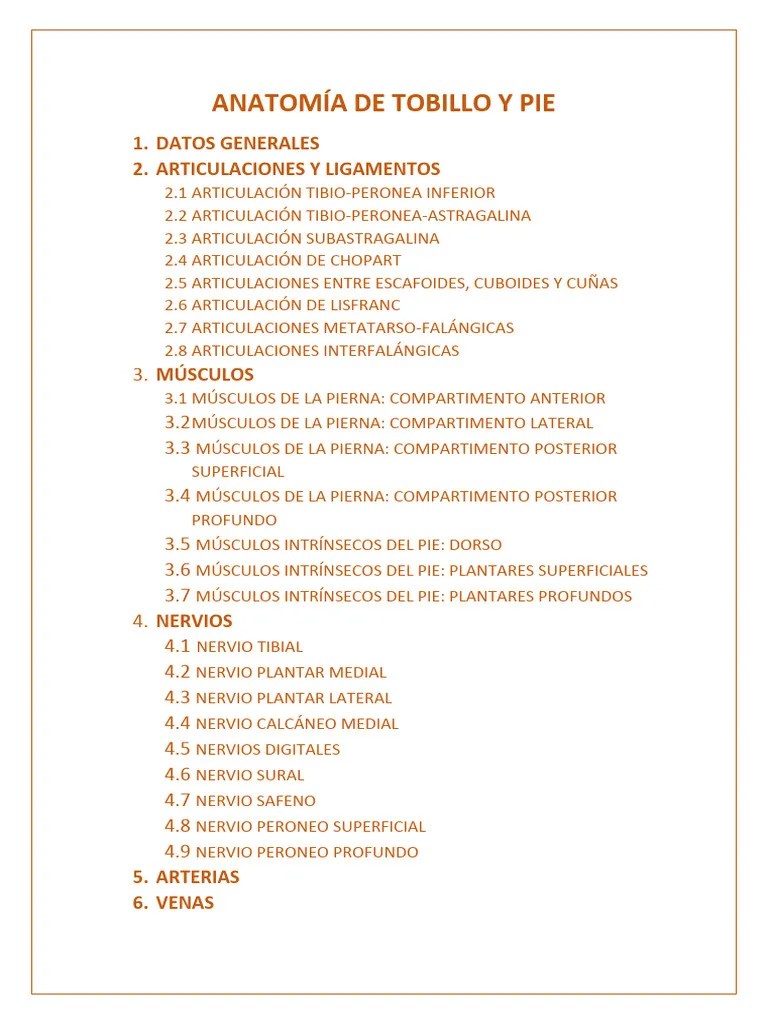 Anatomía De Tobillo Y Pie | PDF | Pie | Tobillo