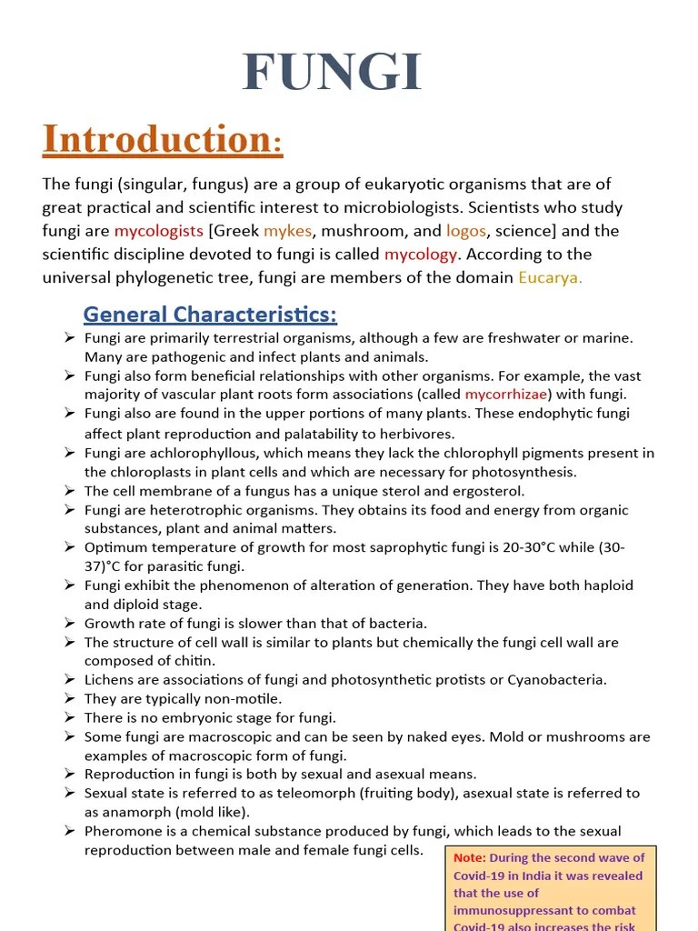 Fungi | PDF | Fungus | Sexual Reproduction