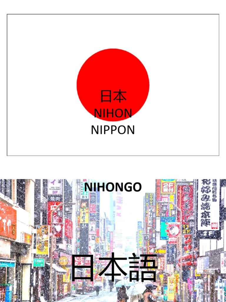 Introduction Into Japanese | PDF