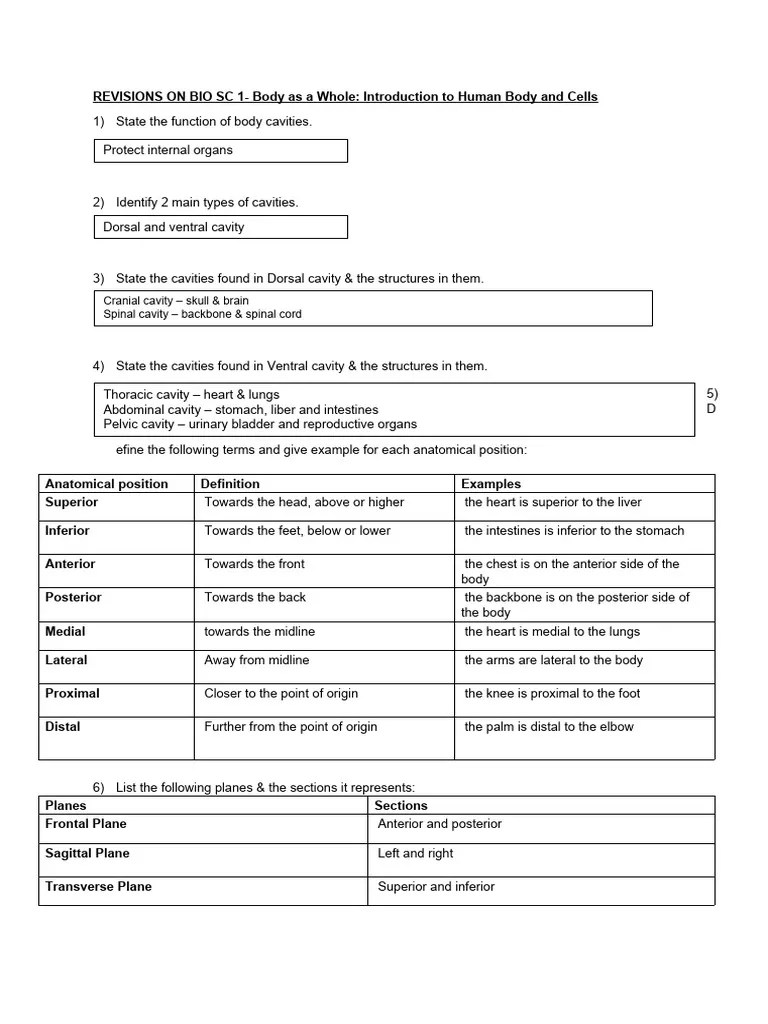 C1_Introduction To Human Body & Cells | PDF | Anatomical Terms Of ...