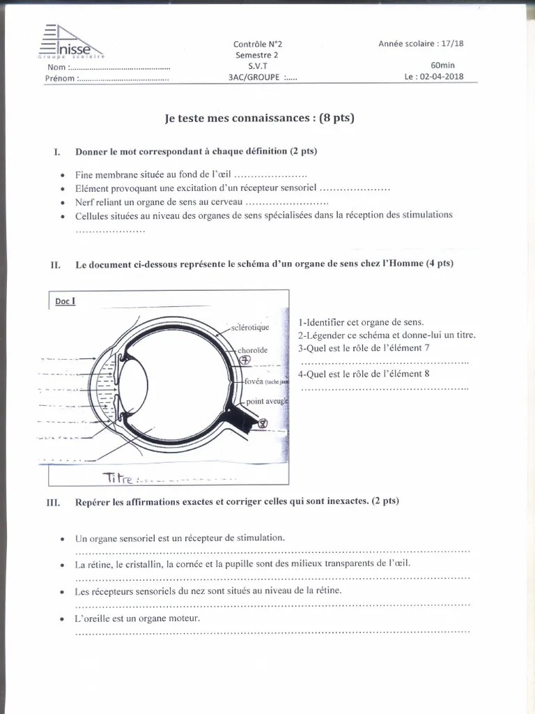Devoir 2 Modele 6 SVT 3ac Semestre 2 | PDF