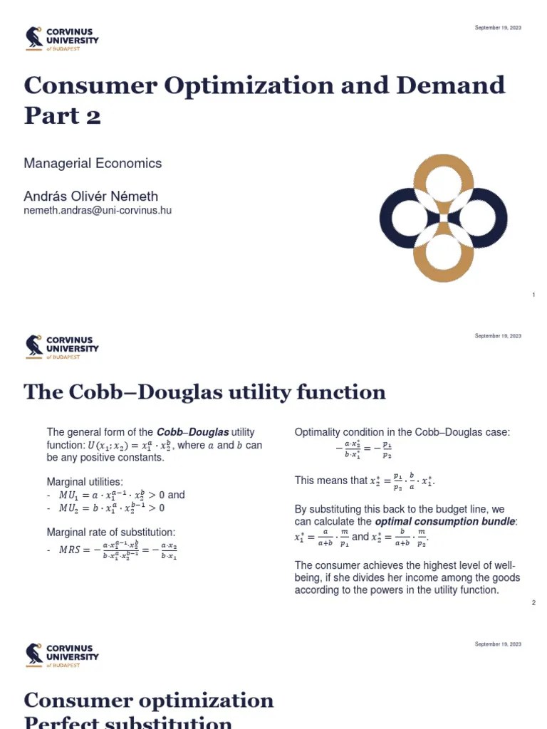 Consumer Optimization And Demand - Part 2 | PDF