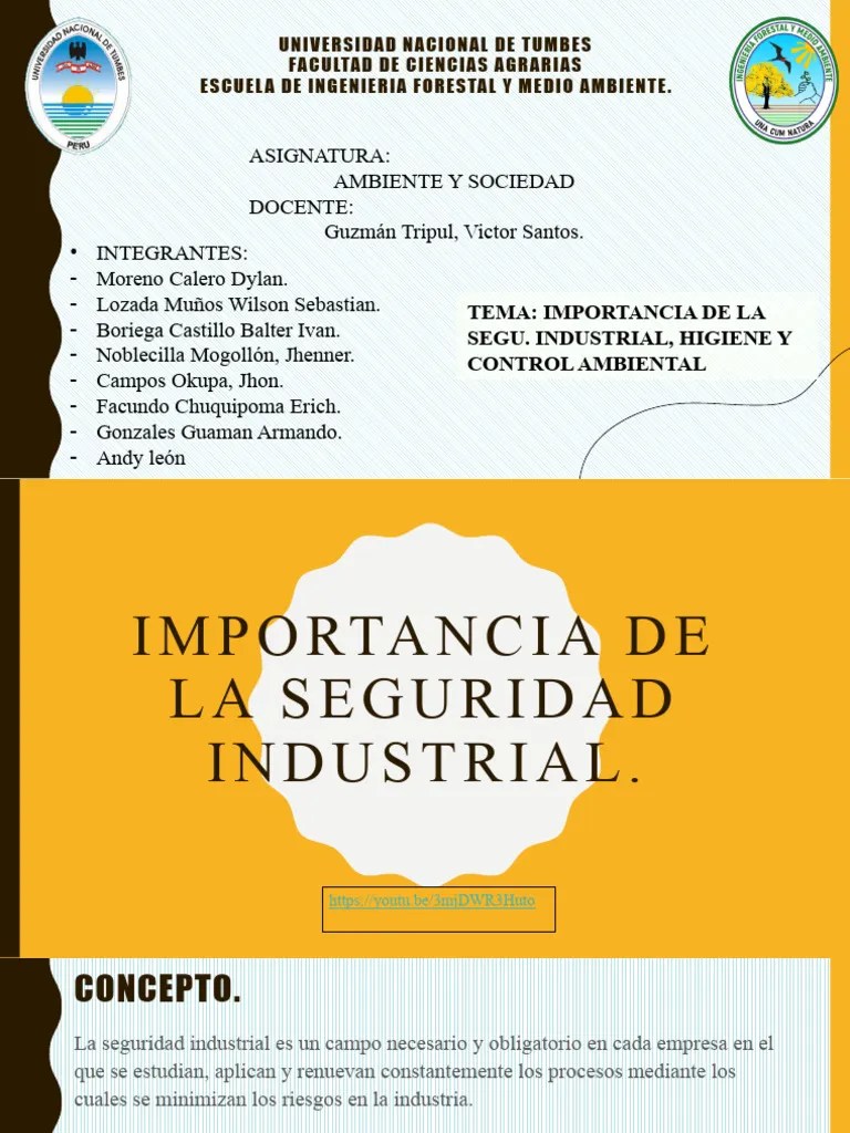 Seguridad Industrial, Higiene Y Control Ambiental | PDF | Entorno Natural | Higiene