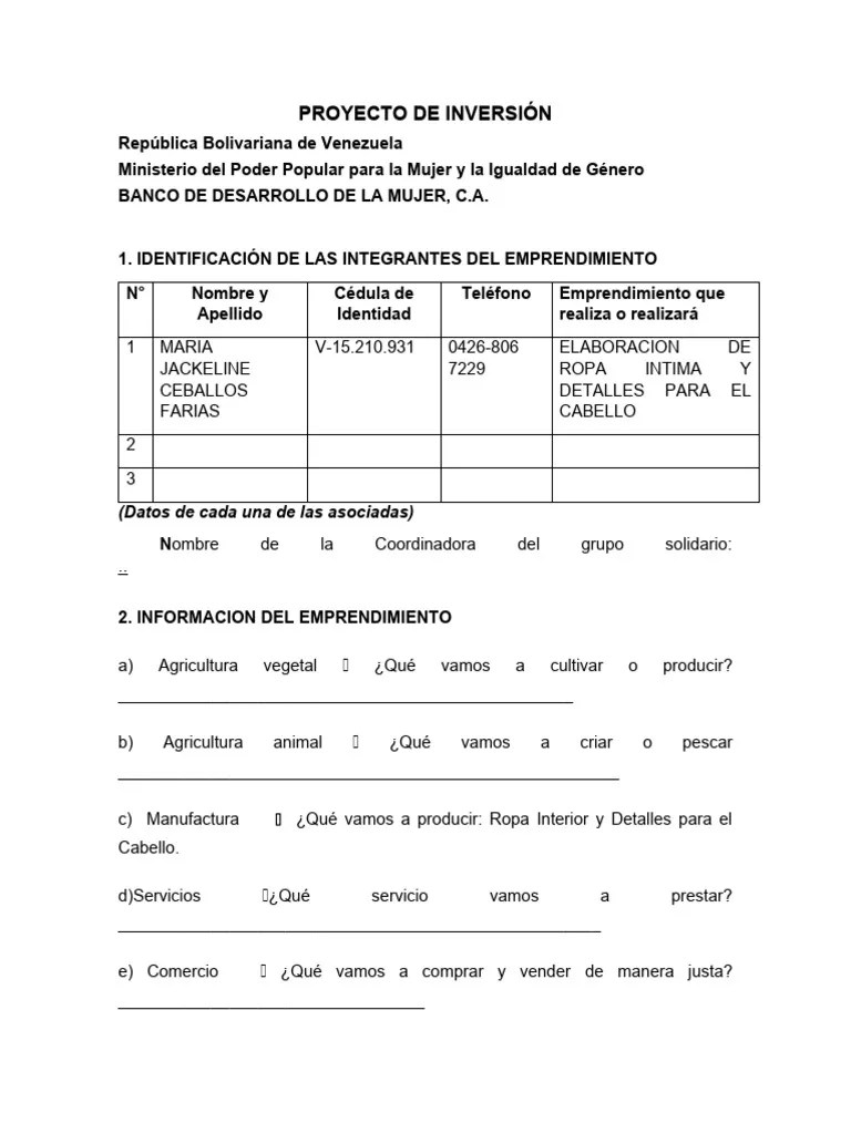 Proyecto De Inversión Maria Ceballos 1 | PDF | Iniciativa Empresarial | Economias