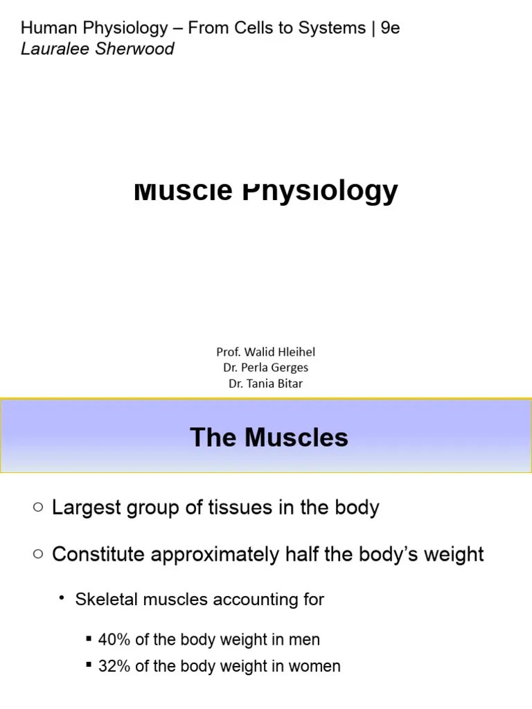Muscle Physiology | PDF | Muscle Contraction | Skeletal Muscle