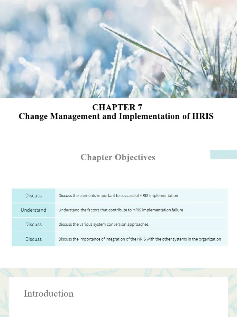 Chapter 7 - Hris Implementation | PDF | Change Management | Software ...