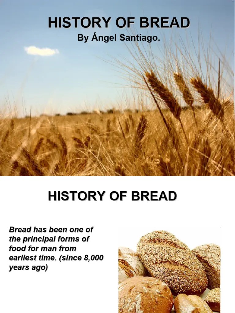 History Of Bread | PDF