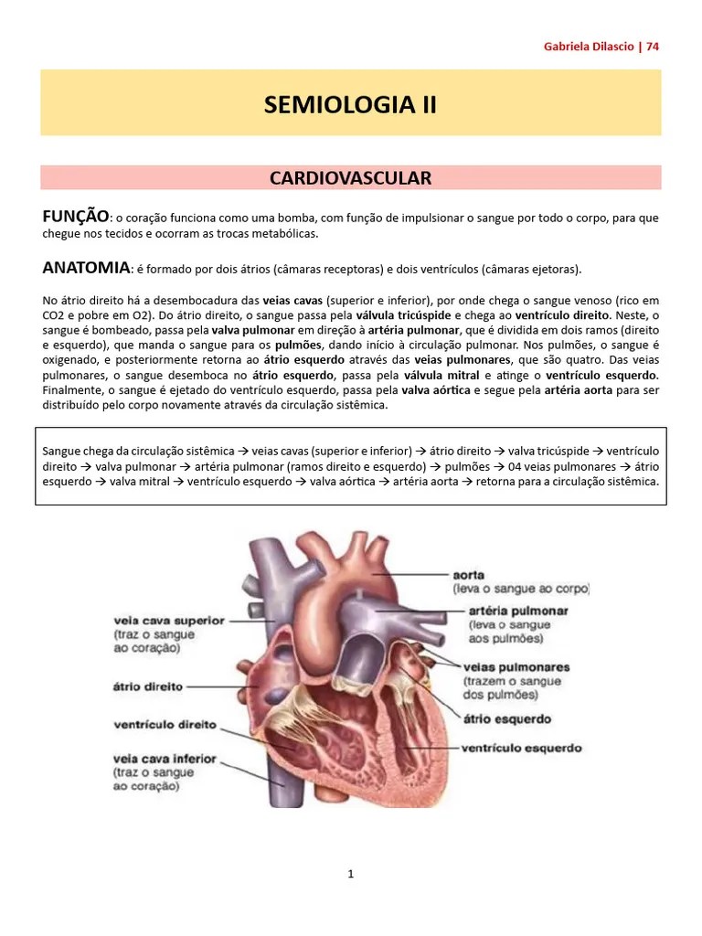 Semiologia Cardiovascular - Gabriela Dilascio 74B | PDF | Coração | Ventrículo (coração)