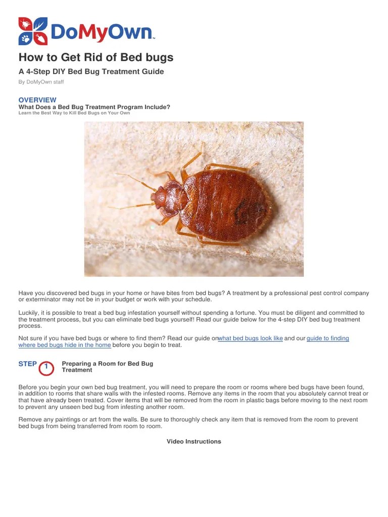 How To Get Rid Of Bed Bugs - Yourself - DoMyOwn - Com - DoMyOwn ...