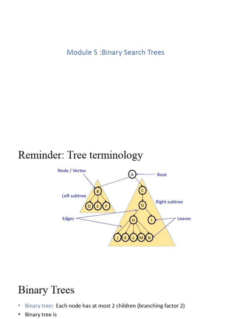 Binary Search Trees | PDF | Algorithms And Data Structures | Graph Theory