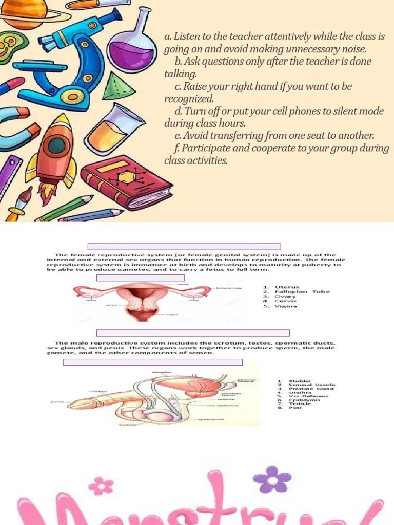 The Menstrual Cycle | PDF | Menstrual Cycle | Luteinizing Hormone