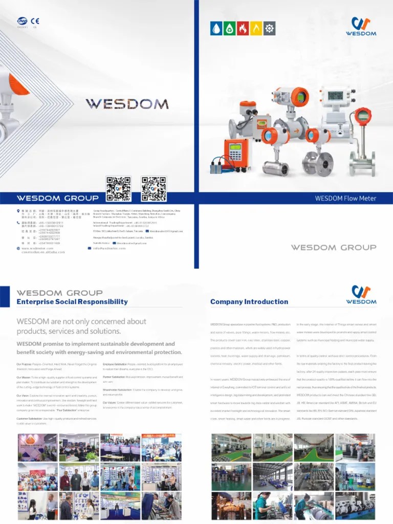 Flow Meter Catalog | PDF