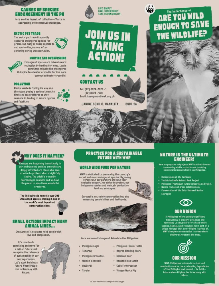 Brochure Endangered Animals | PDF | Endangered Species | Conservation ...