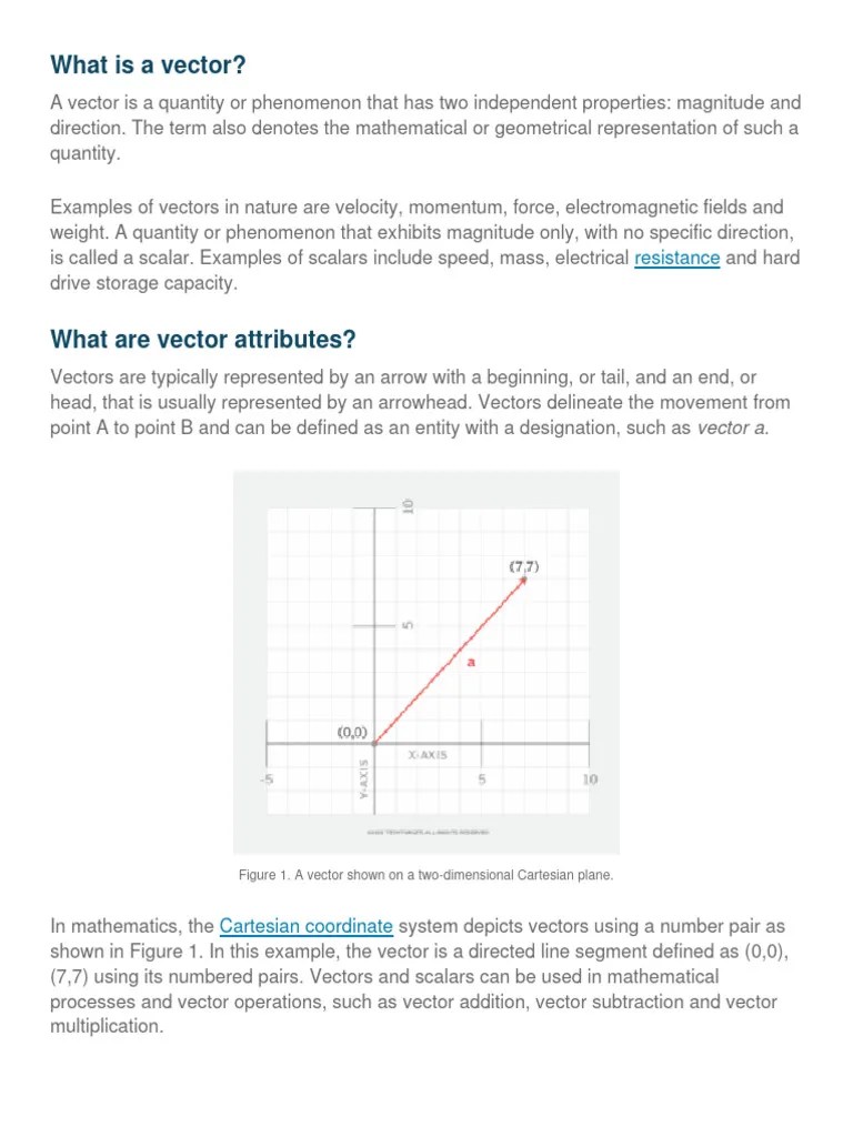 What Is A Vector | PDF | Euclidean Vector | Algebra