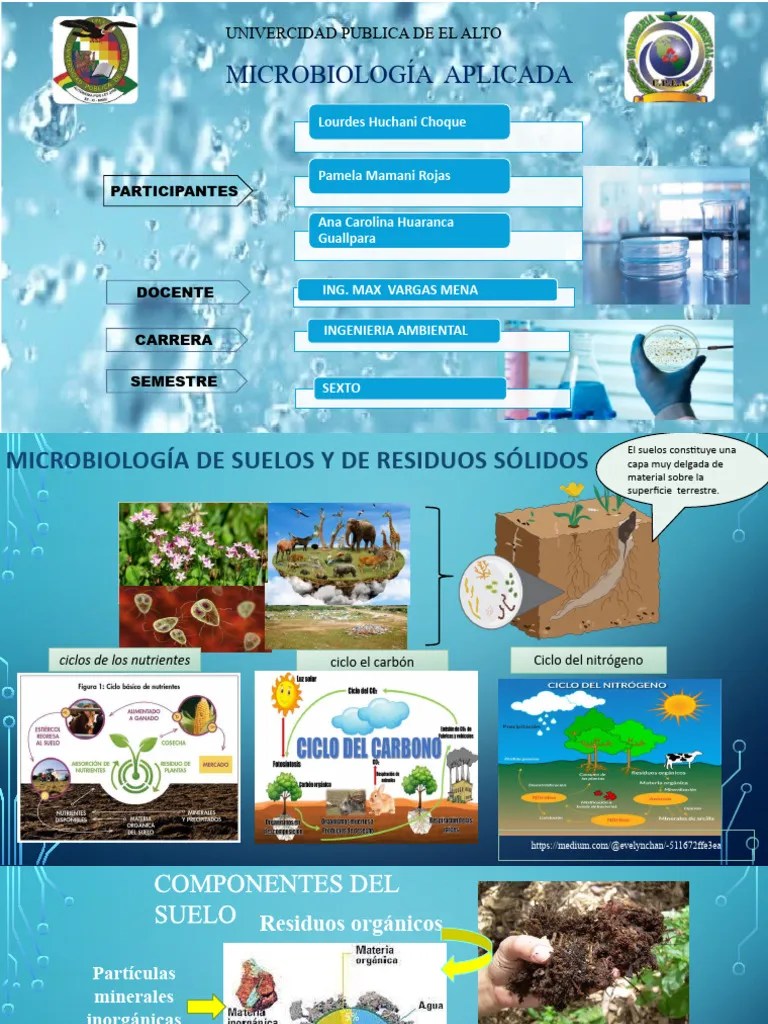 Microbiologia Aplicada | PDF | Suelo | Microorganismo