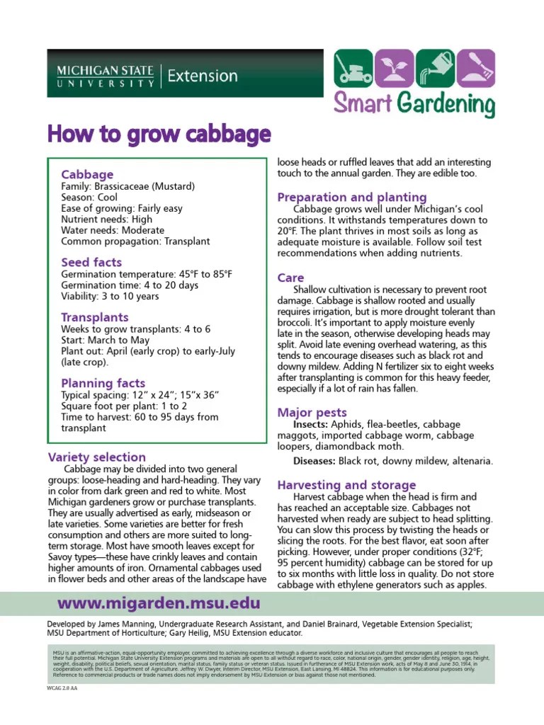 Cabbage 2011 | PDF