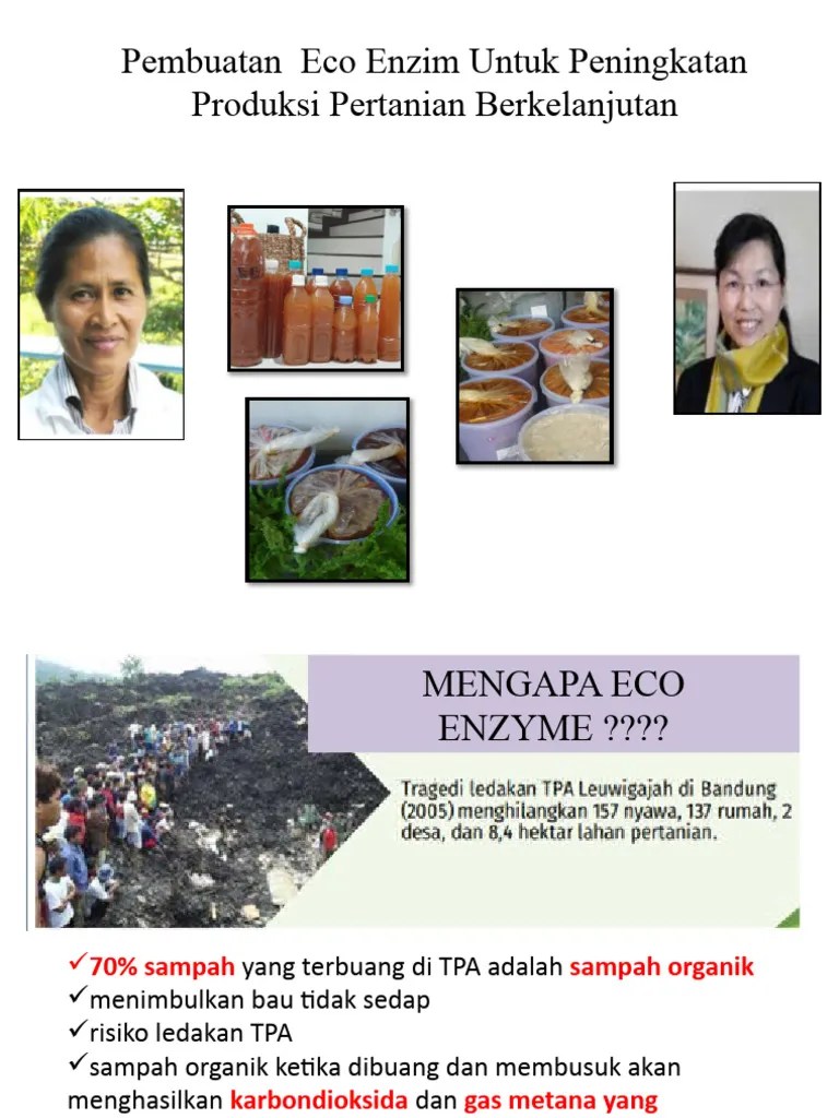 Cara Pembuatan Eco Enzyme | PDF