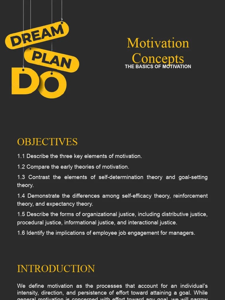 Motivation Concepts | PDF