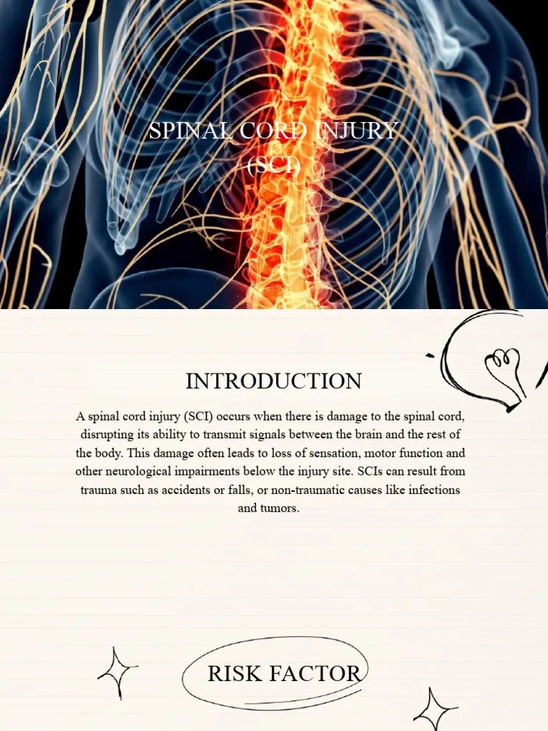 Spinal Cord Injury | PDF | Spinal Cord Injury | Vertebral Column