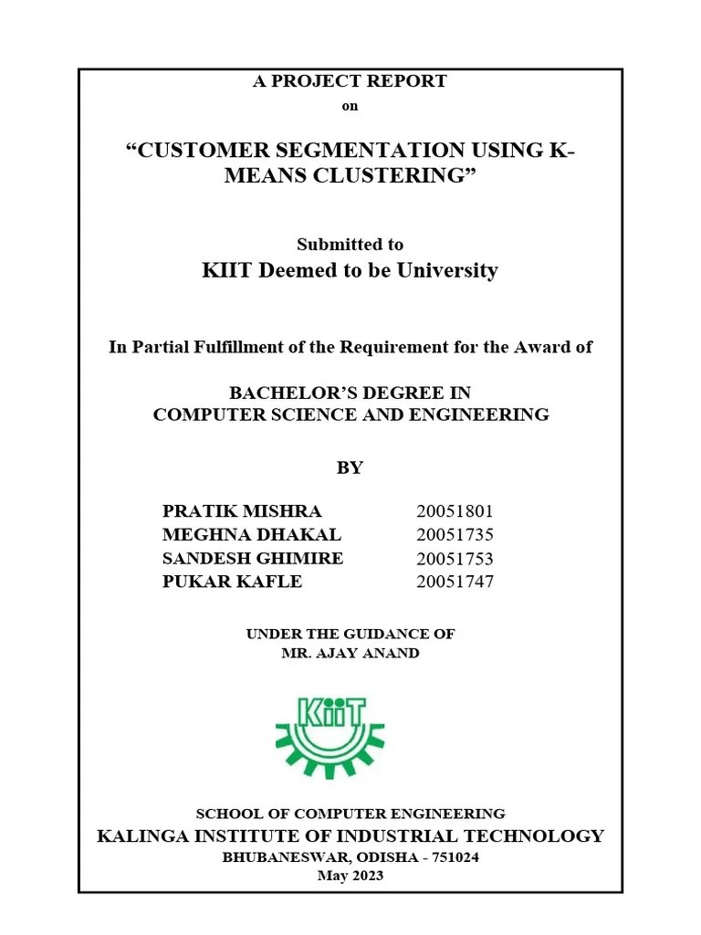 Customer Segmentation Report | PDF | Cluster Analysis | Market Segmentation