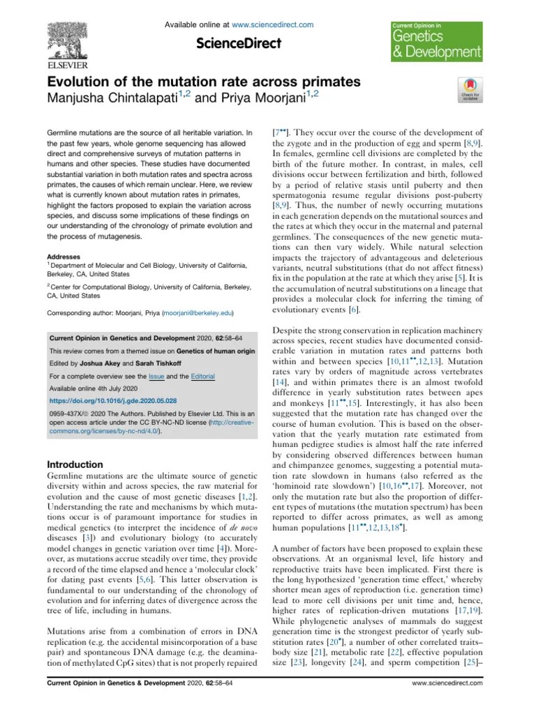 Evolution Of The Mutation Rate Across Primates Pdf Science