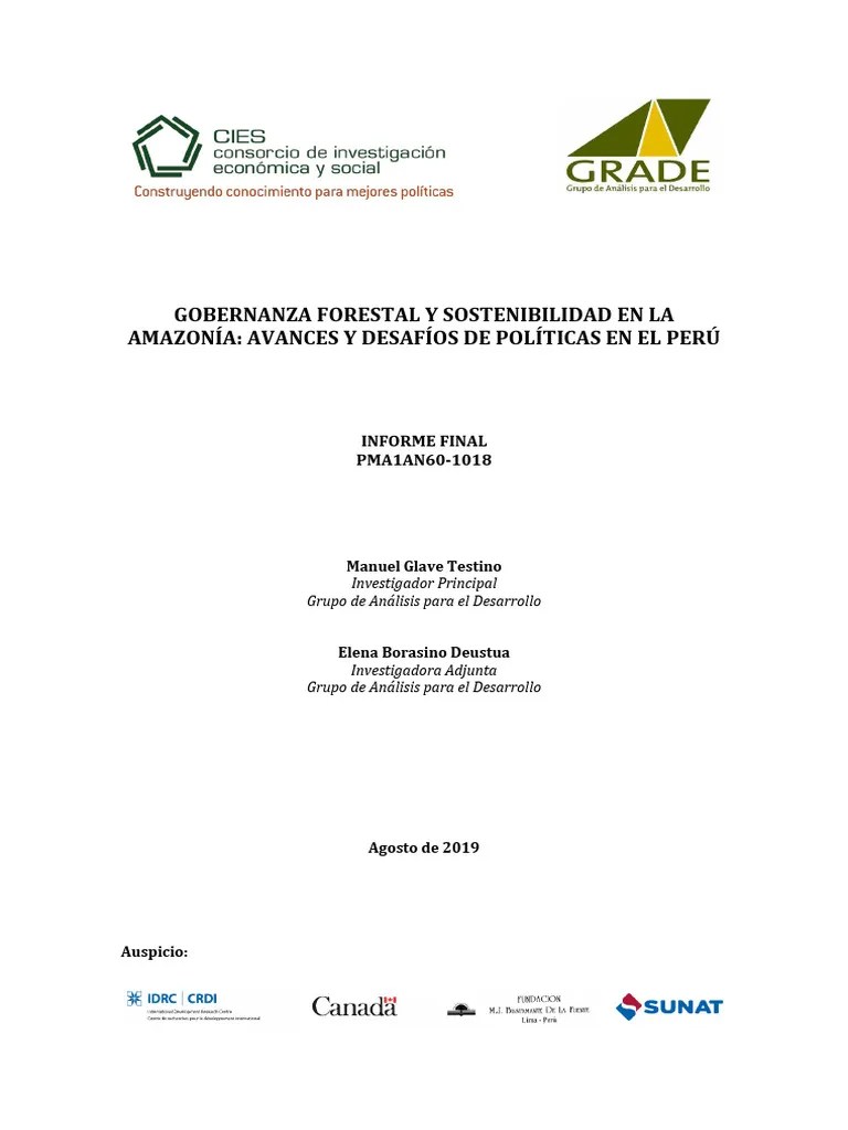 Gobernanza Forestal Y Sostenibilidad En La Amazonia Avances Y Desafios De Politicas En El Peru ...
