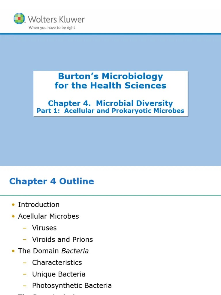 Microbial Diversity Part 1: Acellular And Prokaryotic Microbes | PDF ...