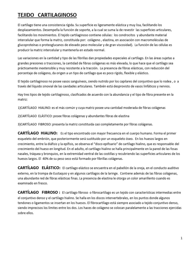 8-CARTILAGO Y HUESO | PDF | Cartílago | Hueso