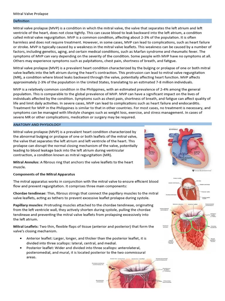 Mitral Valve Prolapse | PDF | Heart | Cardiovascular System
