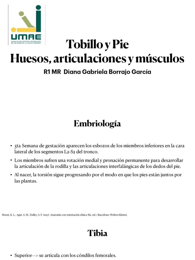Tobillo Y Pie PDF (1) | PDF | Tobillo | Pie