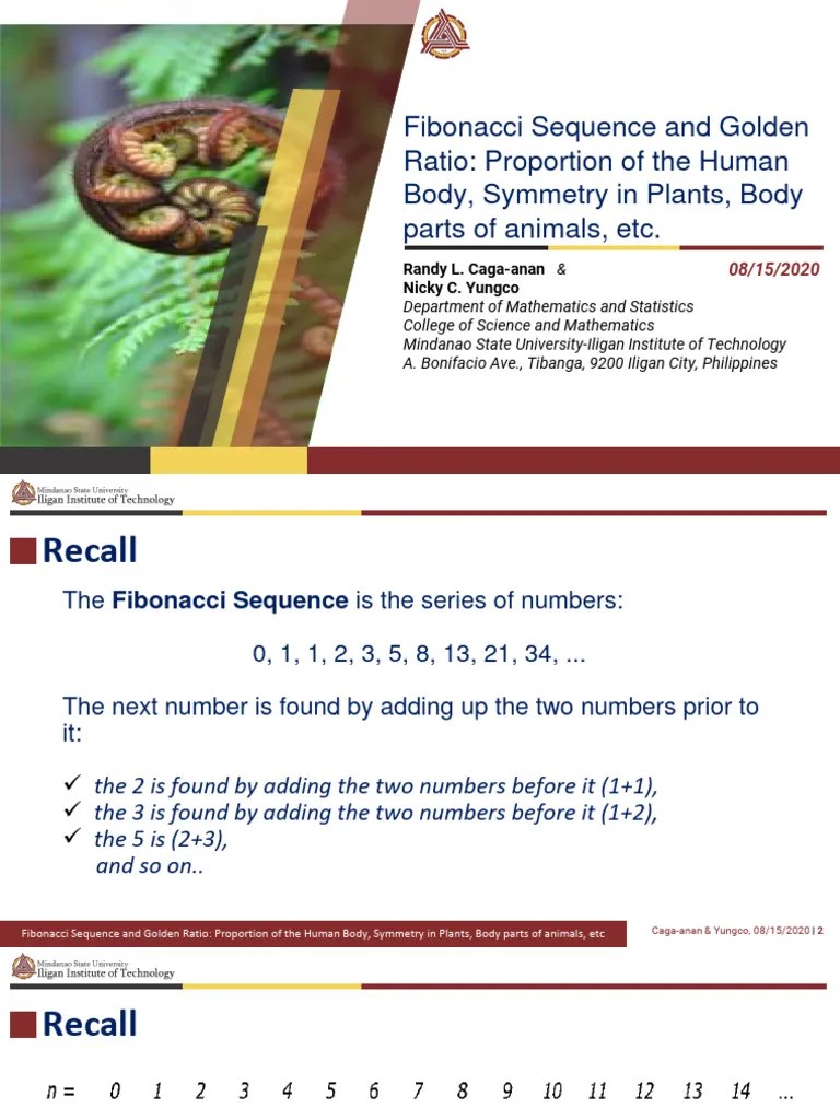 Golden Ratio And Fibonacci Sequence Final Hand Out Edited | PDF | Ratio ...