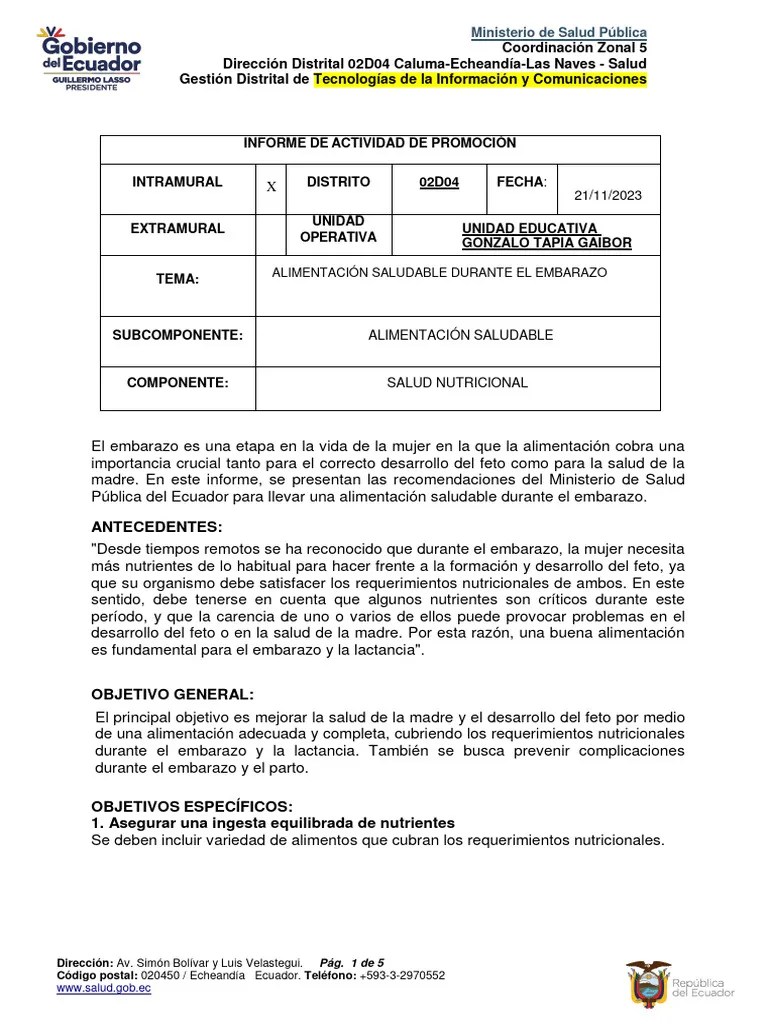 ALIMENTACIÓN SALUDABLE DURANTE EL EMBARAZO | PDF | Nutrición | Dieta Y ...